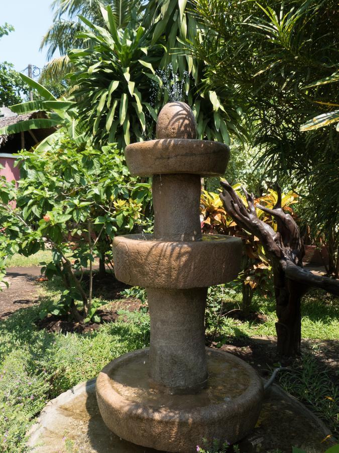Le Zahir Lodge อัมบาโตโลกา ภายนอก รูปภาพ